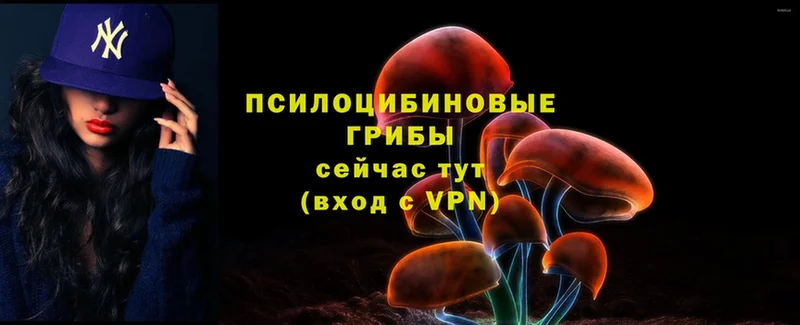 где купить наркоту  Козьмодемьянск  Галлюциногенные грибы прущие грибы 